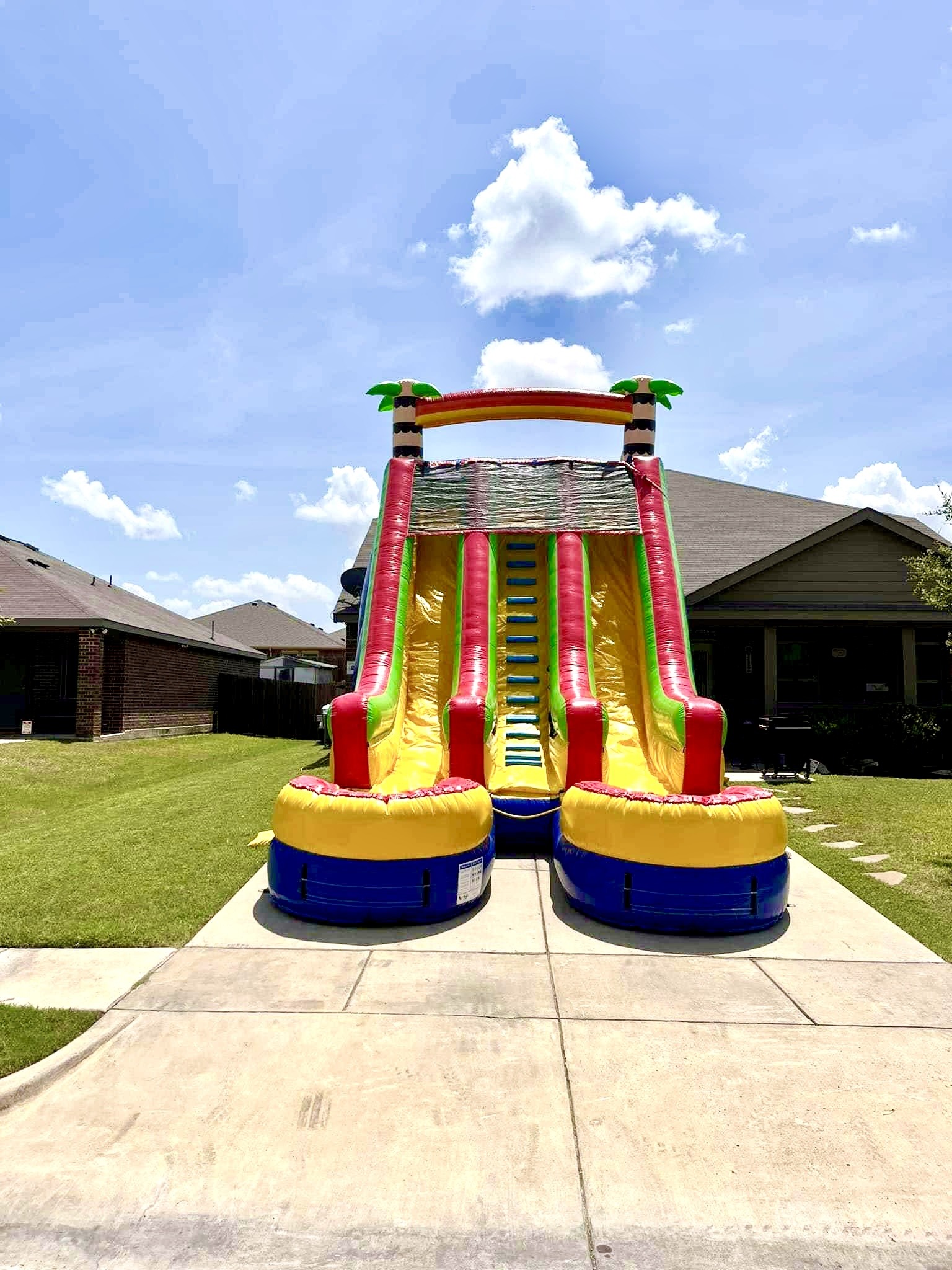 Tropical Dual Lane Waterslide