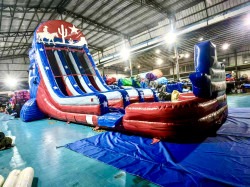 Texas 20' Dual Lane Waterslide